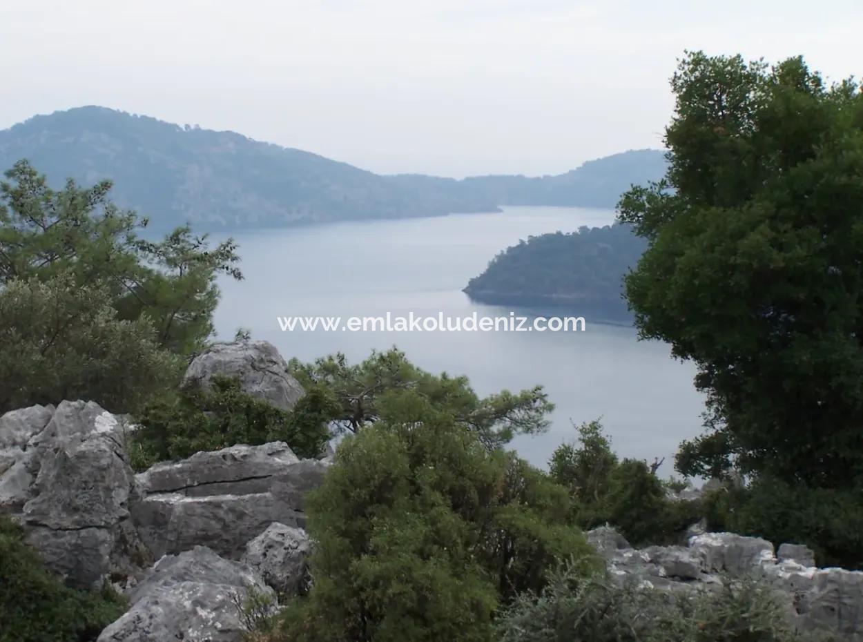 Sarsalada Deniz Manzaralı 4274M2 Arsa İçinde Satılık Taş Ev