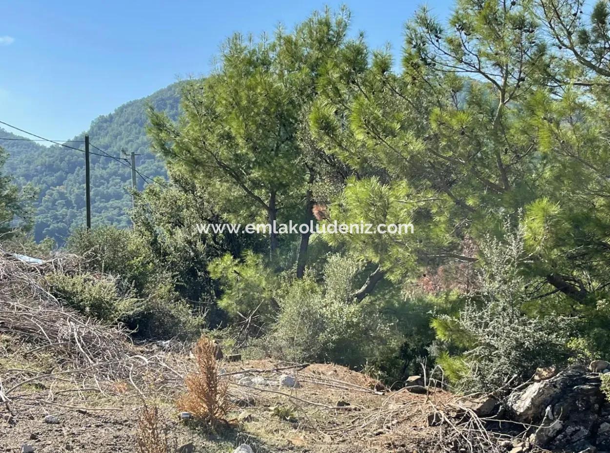 Gökbel'de Full Deniz Manzaralı 4801M2 Satılık Arazi