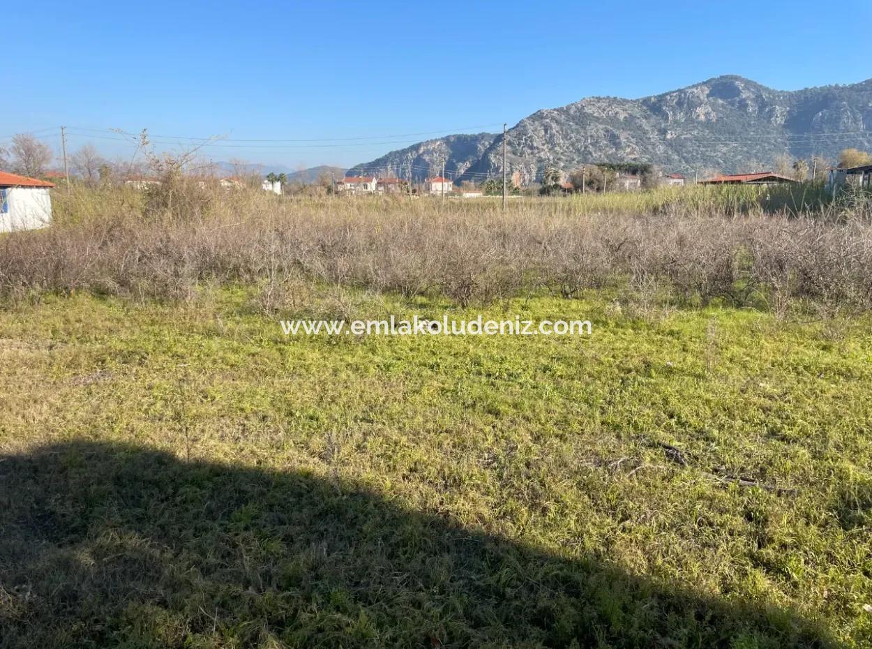 Dalyan 1000M2 Köşebaşı %20 Satılık Arsa