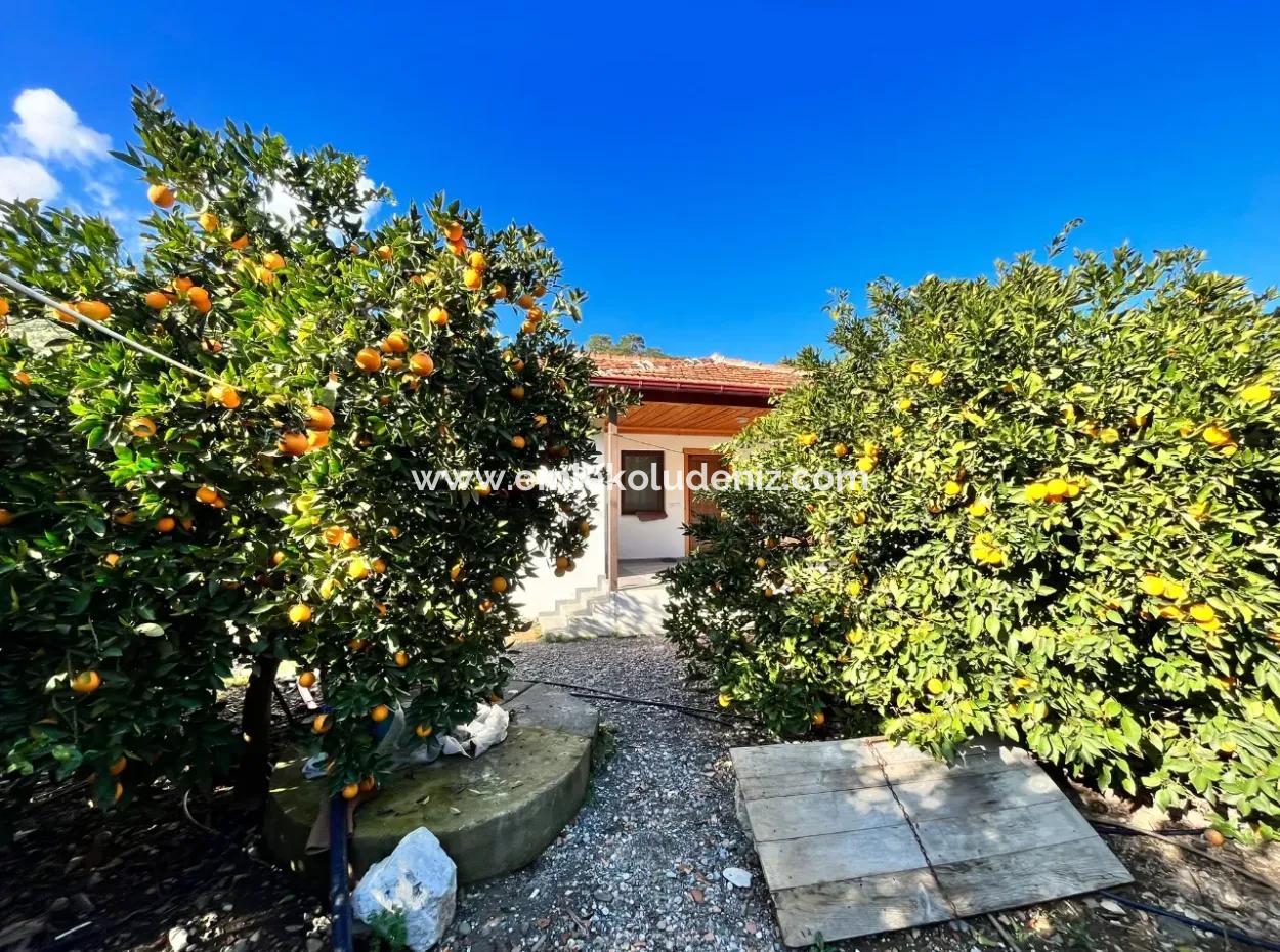 Çandır'da 5000M2 Arsa İçinde Satılık Tek Katlı Ev