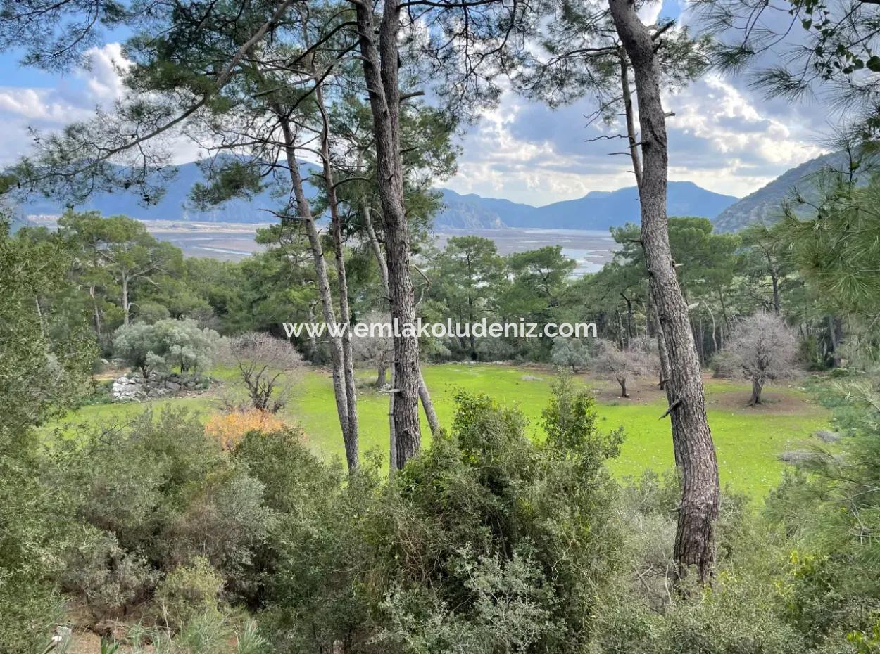 Çandır'da Deniz Göl Manzaralı Satılık 10,707M2 2B Tarlası