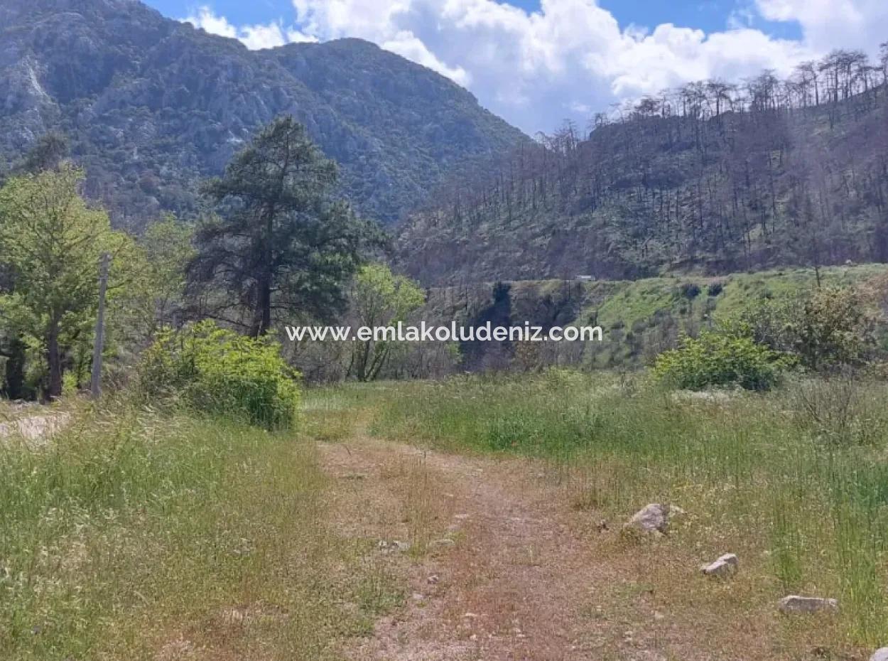 Marmaris Turgut Yatırımlık Satılık 29600M2 Satılık Arazi