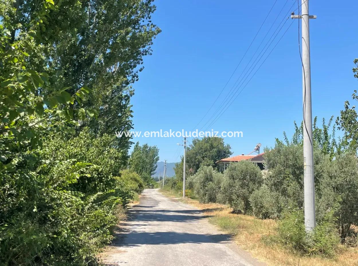 Tepearasın'da Yol Sıfır 6820M2 Nar Ve Limon Bahçesi Satılıktır